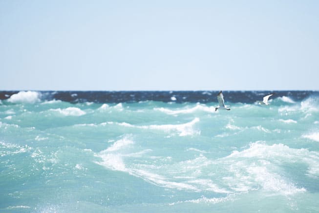 Die Windrichtung entscheidet beim Surfen über die Qualität der Welle